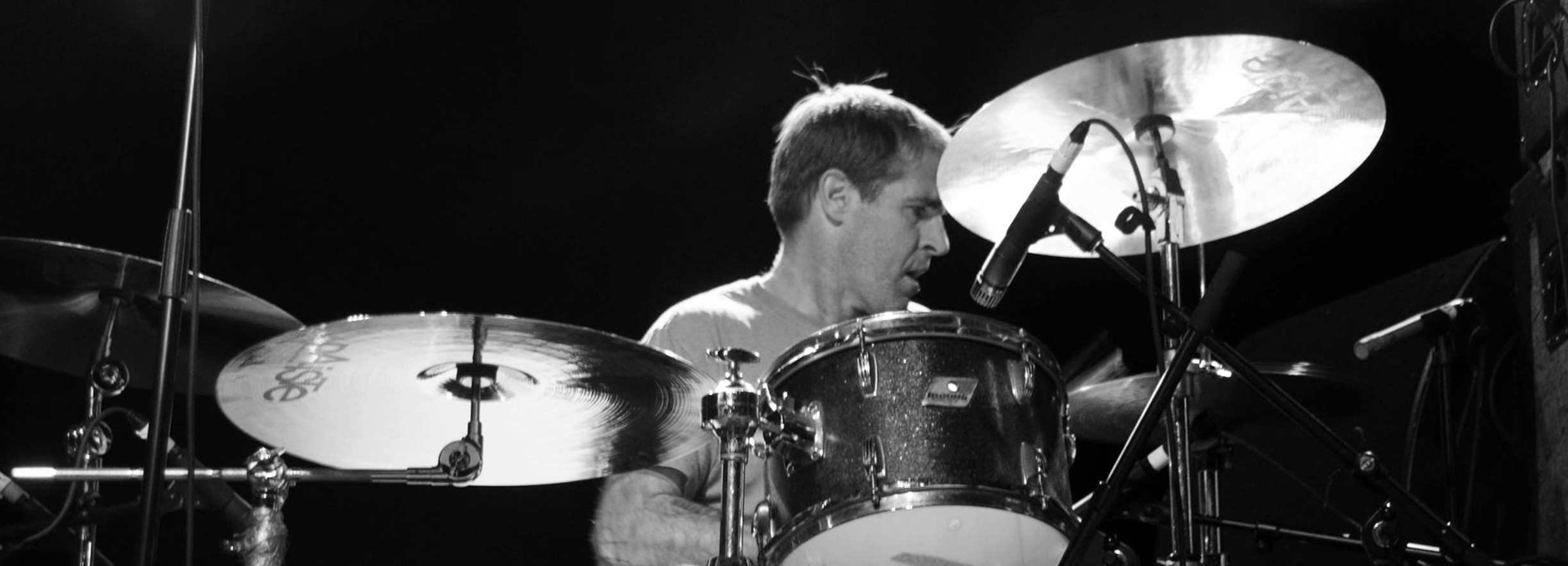 Bob D'Amico