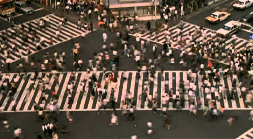 the morning after girls - the general public